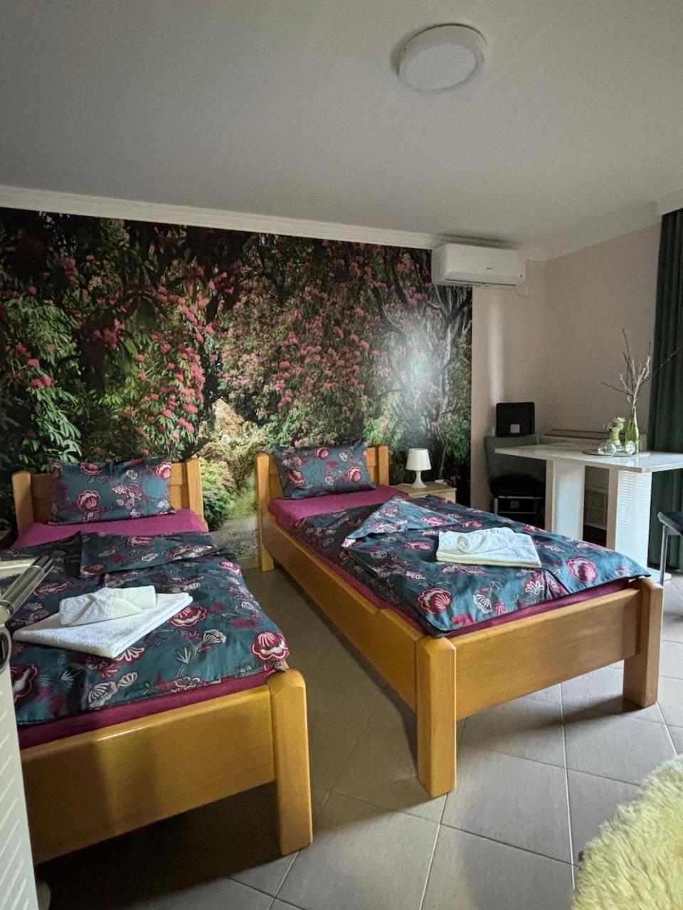 Apartmani "Marija" Golubac Exterior foto
